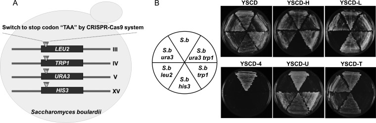 FIG 1