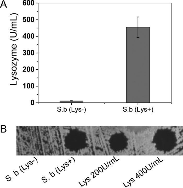 FIG 5