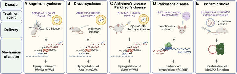 Figure 4