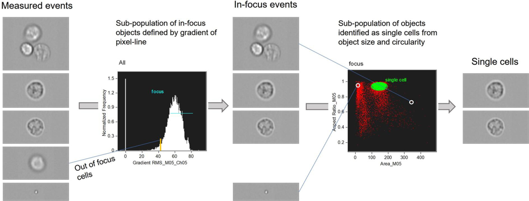 Figure 2: