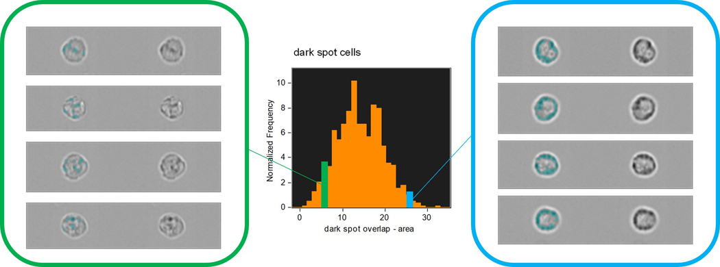 Figure 6: