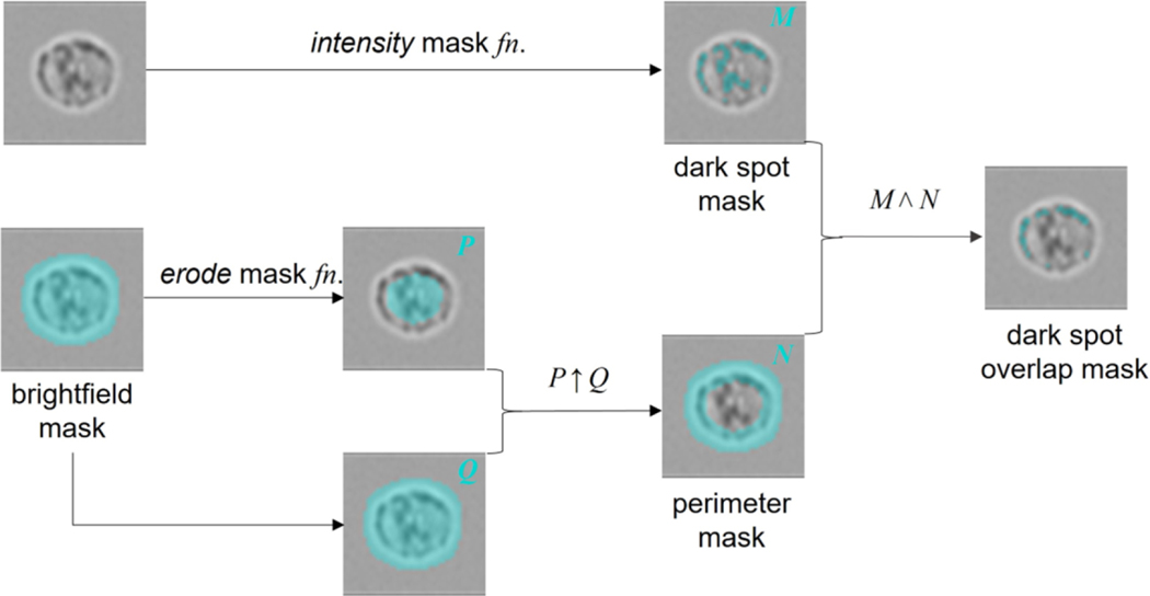 Figure 4: