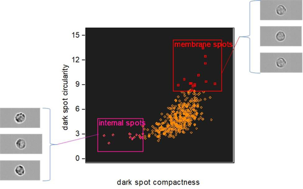 Figure 5: