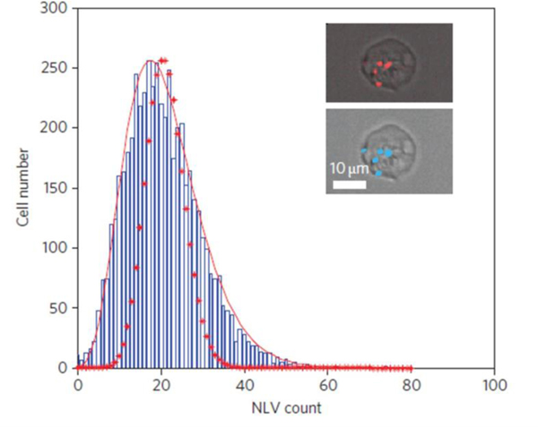 Figure 3: