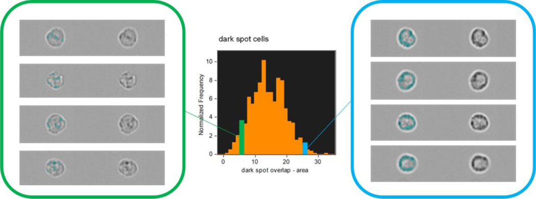 Figure 4: