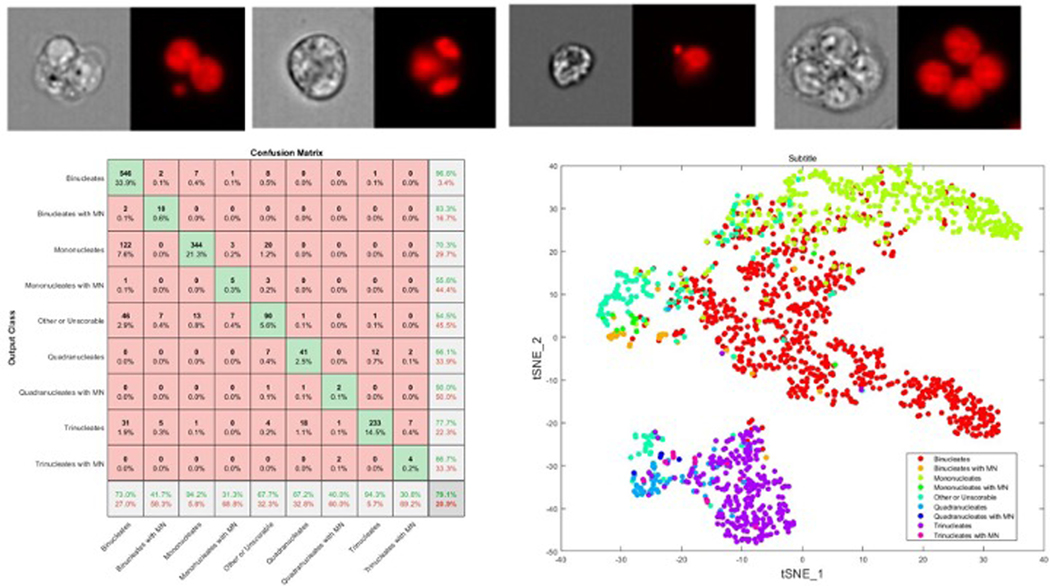 Figure 9: