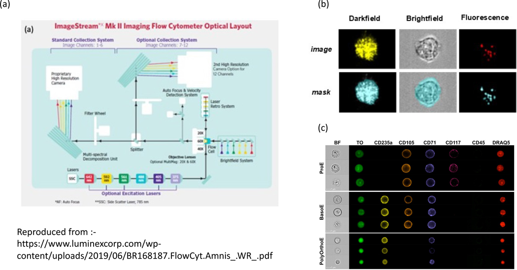 Figure 1: