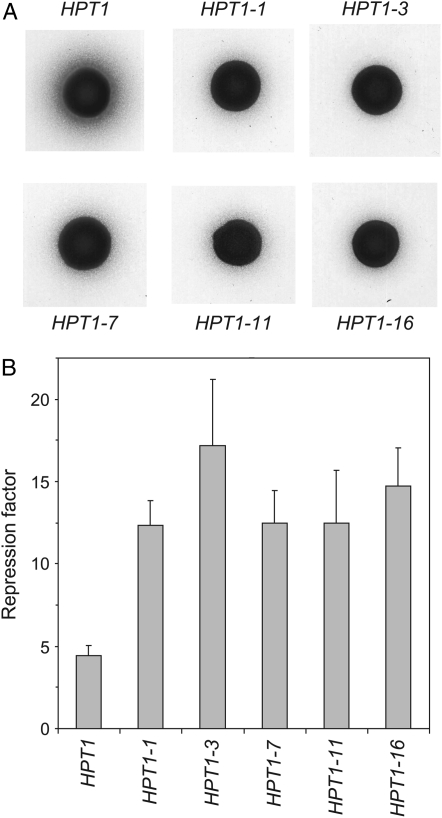 Figure 3.—