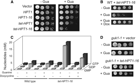 Figure 6.—