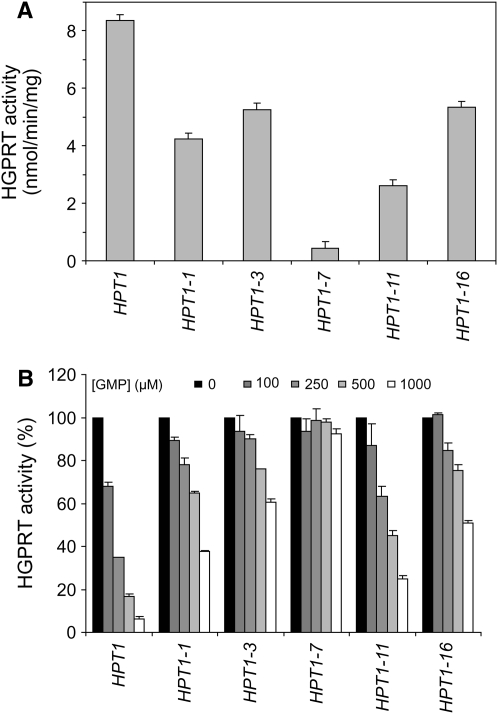 Figure 4.—