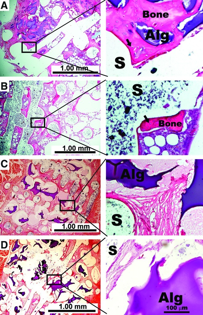 FIG. 5.