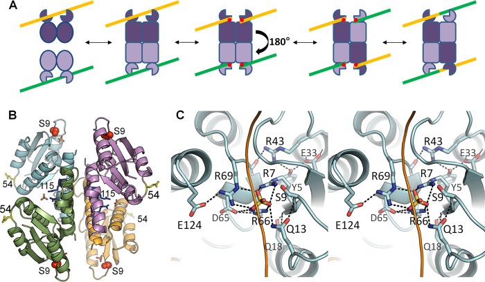 FIGURE 1.