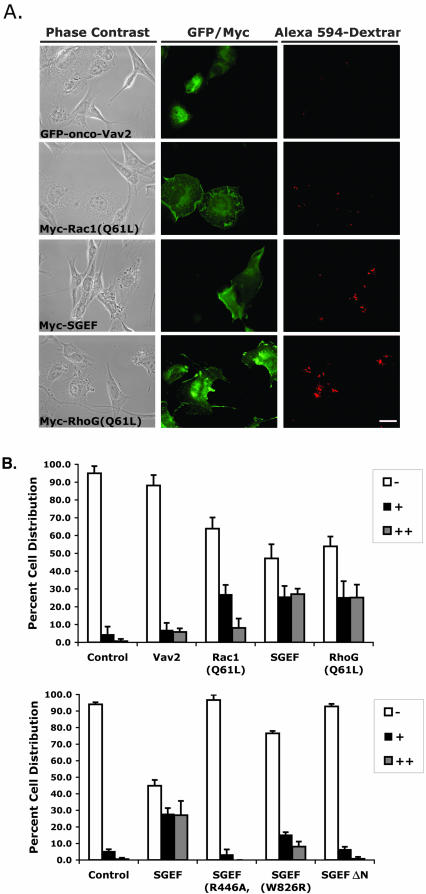 Figure 11.