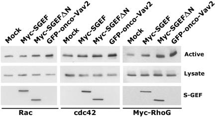 Figure 7.