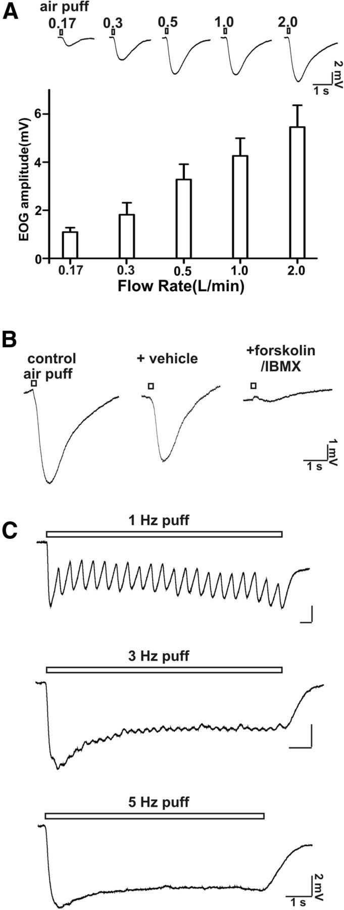 Figure 8.