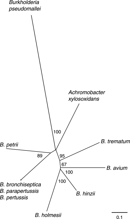 FIG. 4.