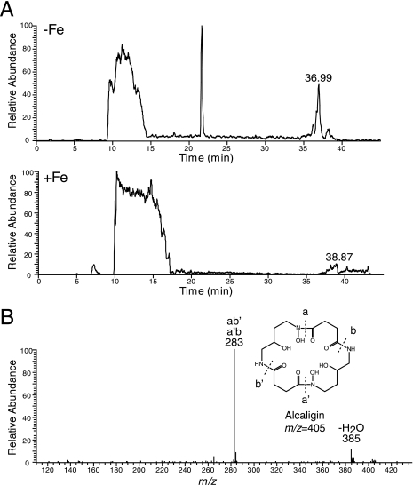 FIG. 3.