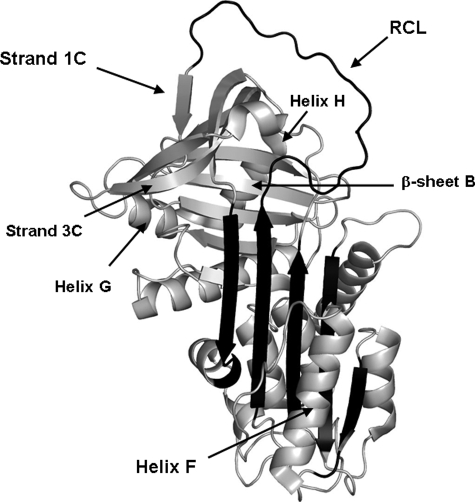 FIGURE 1.