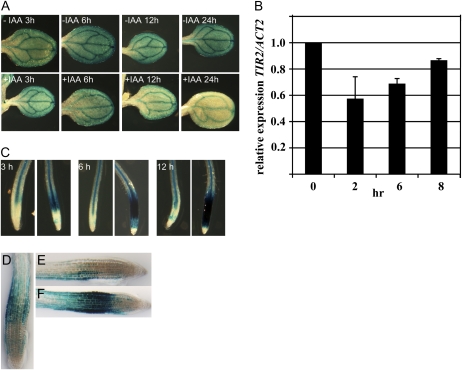 Figure 6.