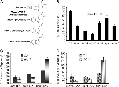 Figure 4.