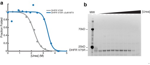 Fig. S1.