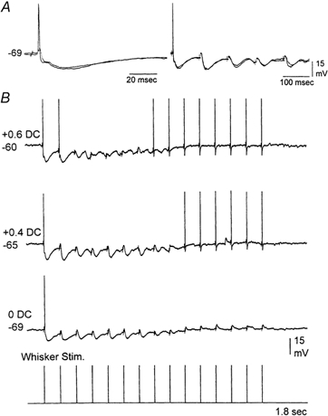 Figure 8