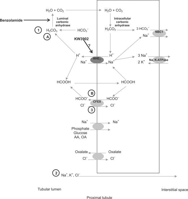 Fig. 7.