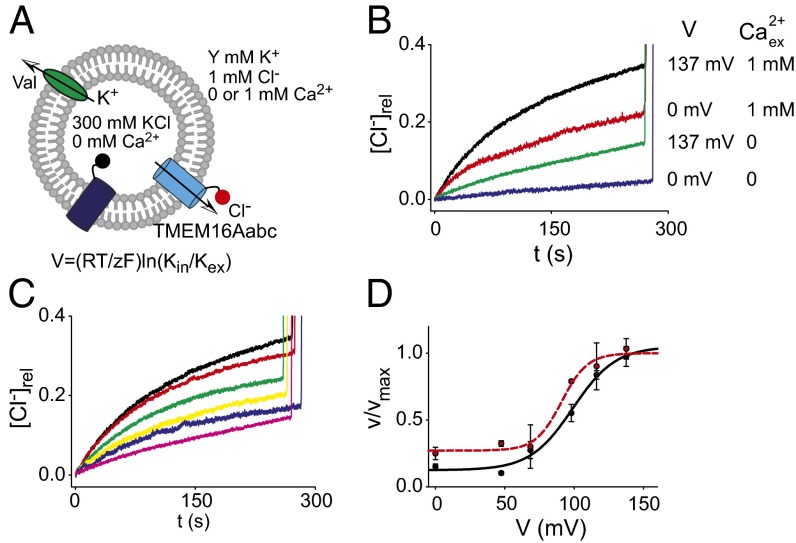 Fig. 4.