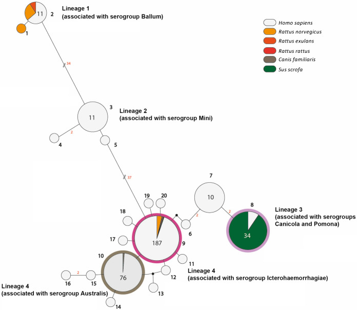 Fig 2