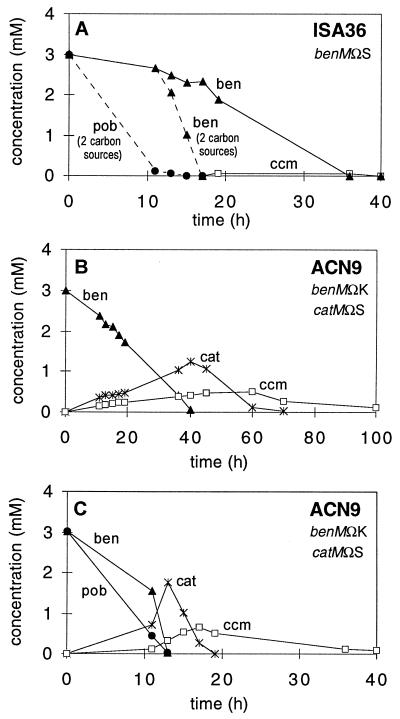 FIG. 7