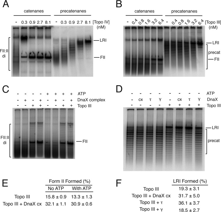 FIG 3