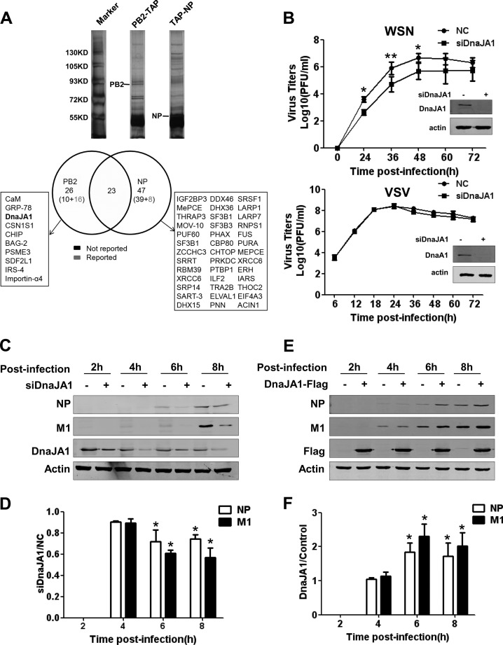 FIG 1