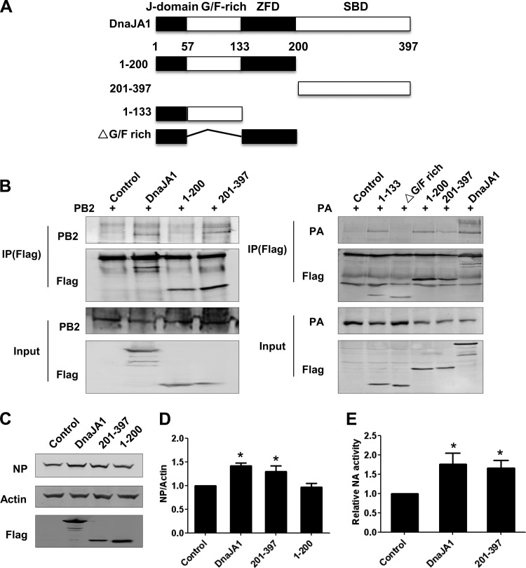 FIG 3