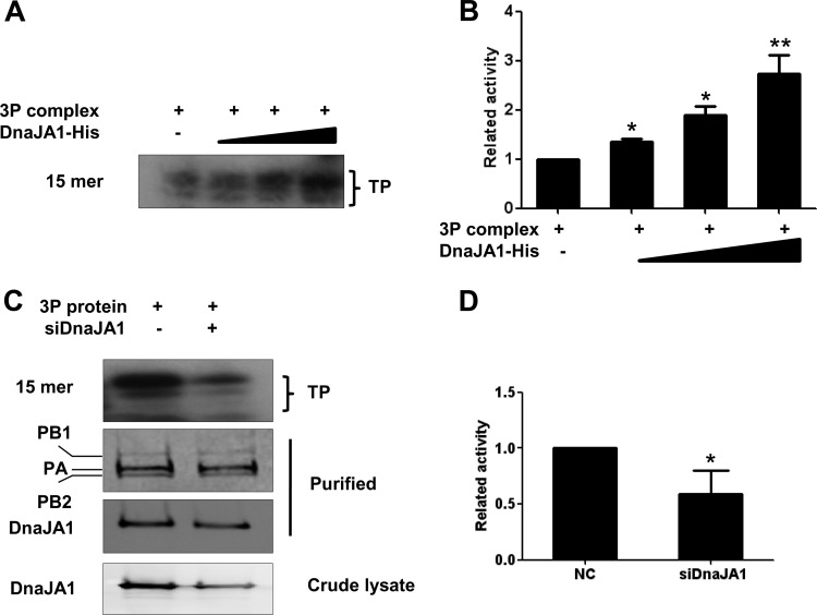 FIG 6