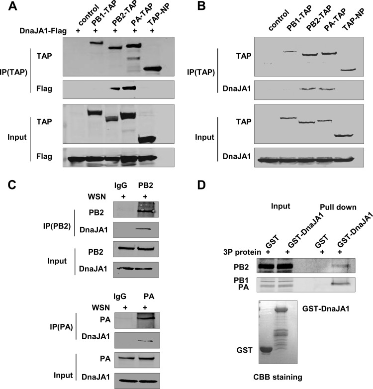 FIG 2