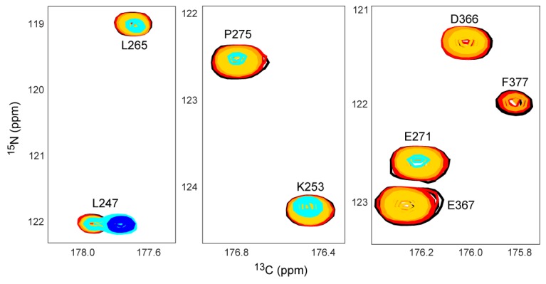 Figure 6—figure supplement 1.