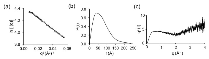 Figure 4—figure supplement 1.