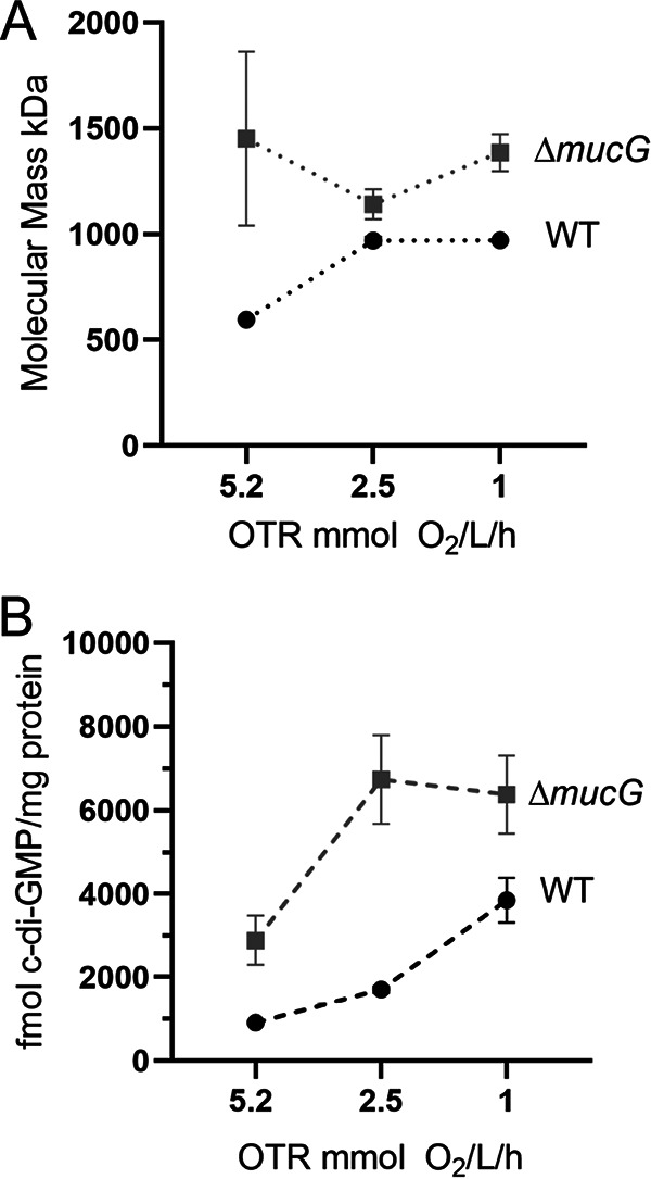 FIG 6