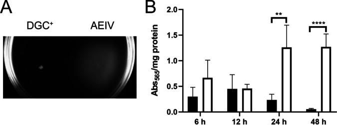 FIG 5