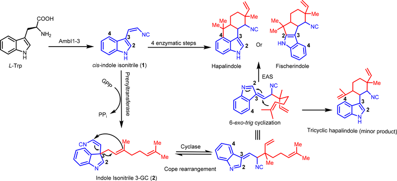 Figure 13: