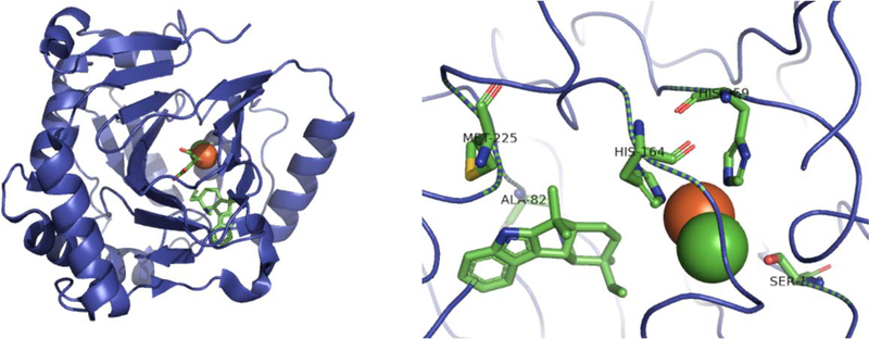 Figure 21: