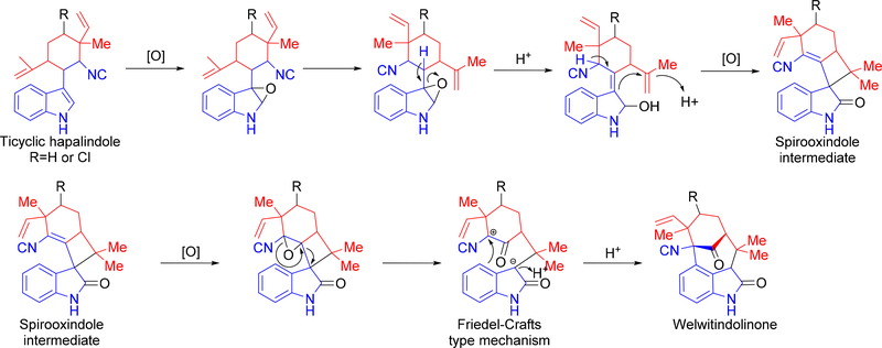 Figure 11: