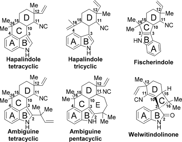 Figure 2: