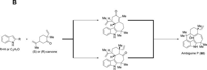 Figure 8: