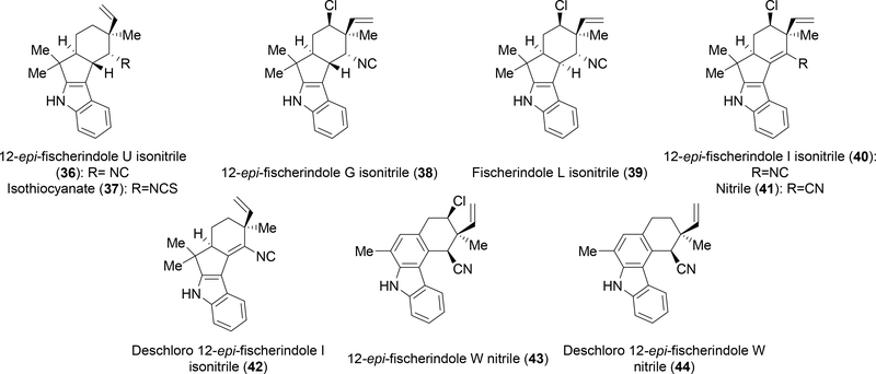 Figure 3: