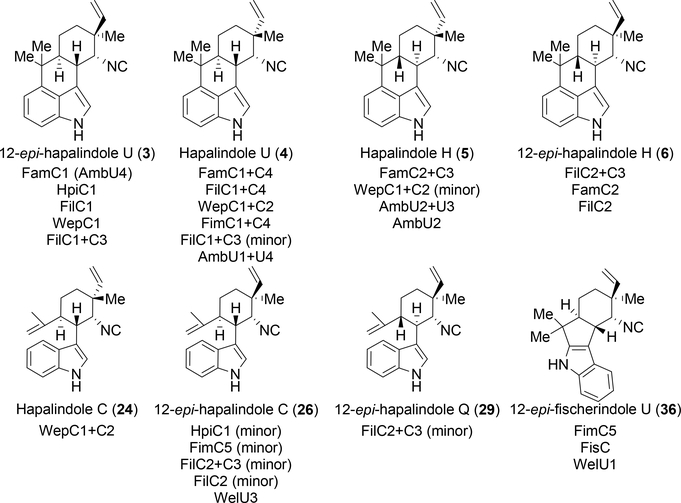 Figure 17: