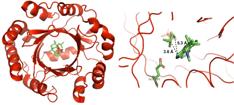 Figure 19: