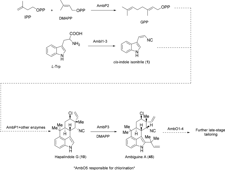 Figure 12: