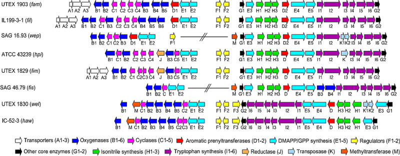 Figure 16: