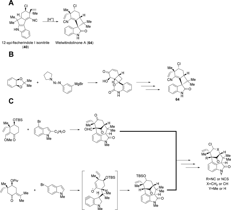 Figure 9: